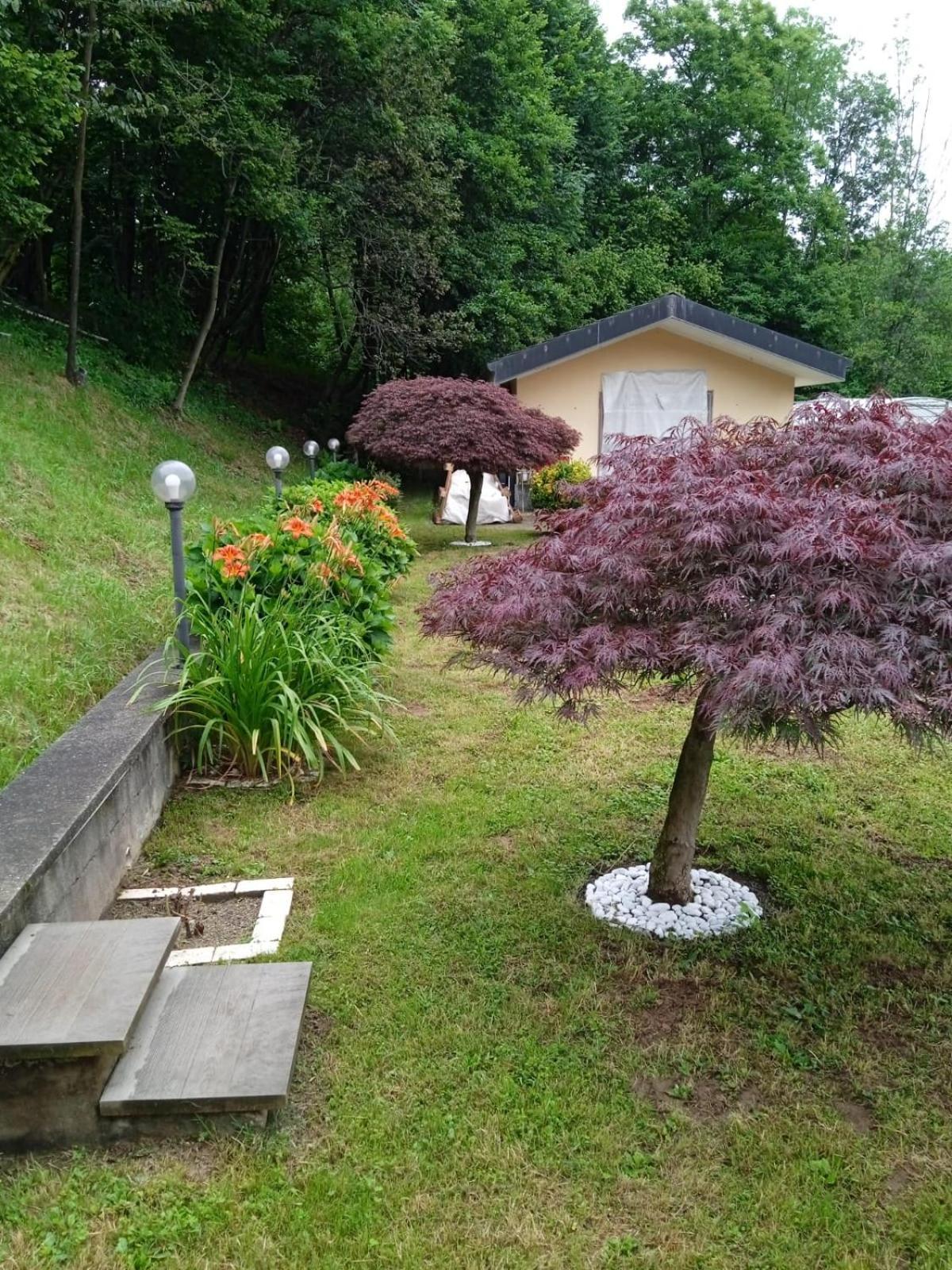 Appartamento La Casa Nel Bosco Rueglio Exterior photo